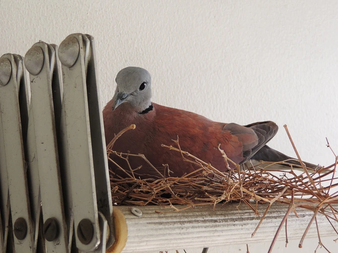 GettyImages-1315428217.jpg?type=w773