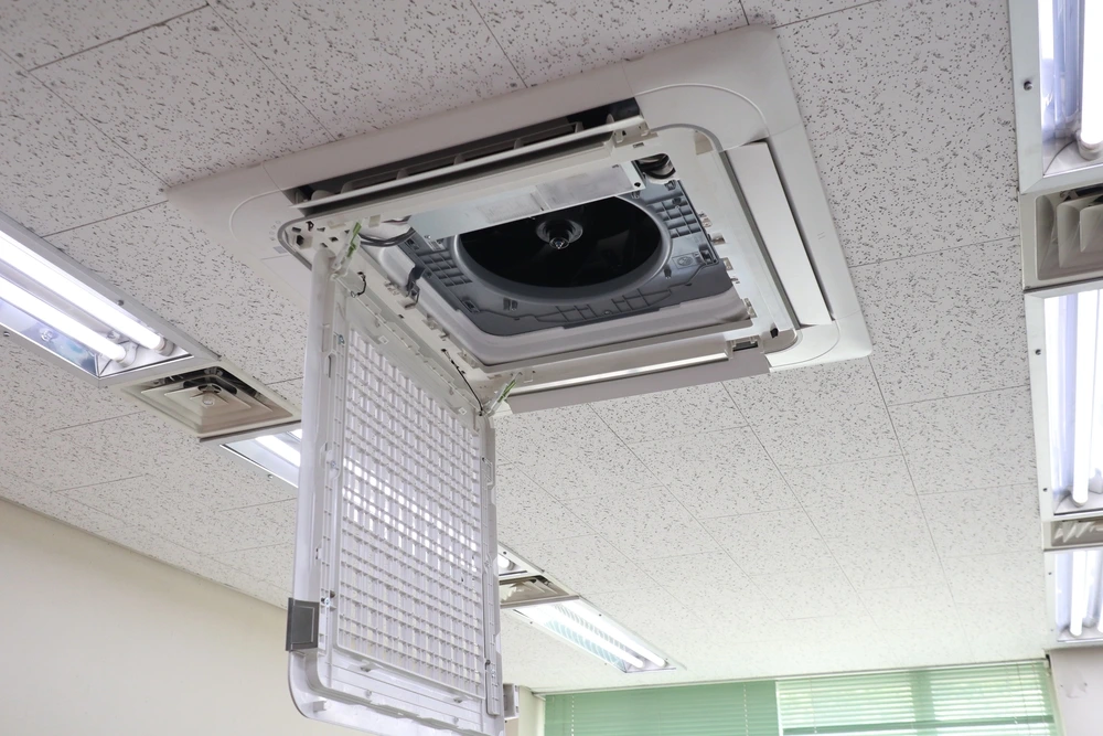 31670615_6096282500485_2314436229455675392_n.png?type=w1200