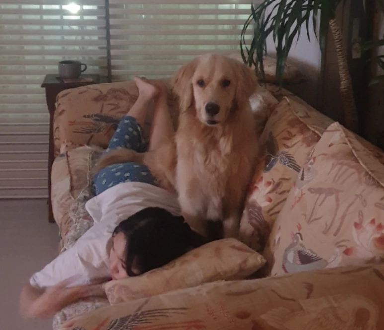 Screen_Shot_2021-02-05_at_12.07.17_AM.png?type=w773