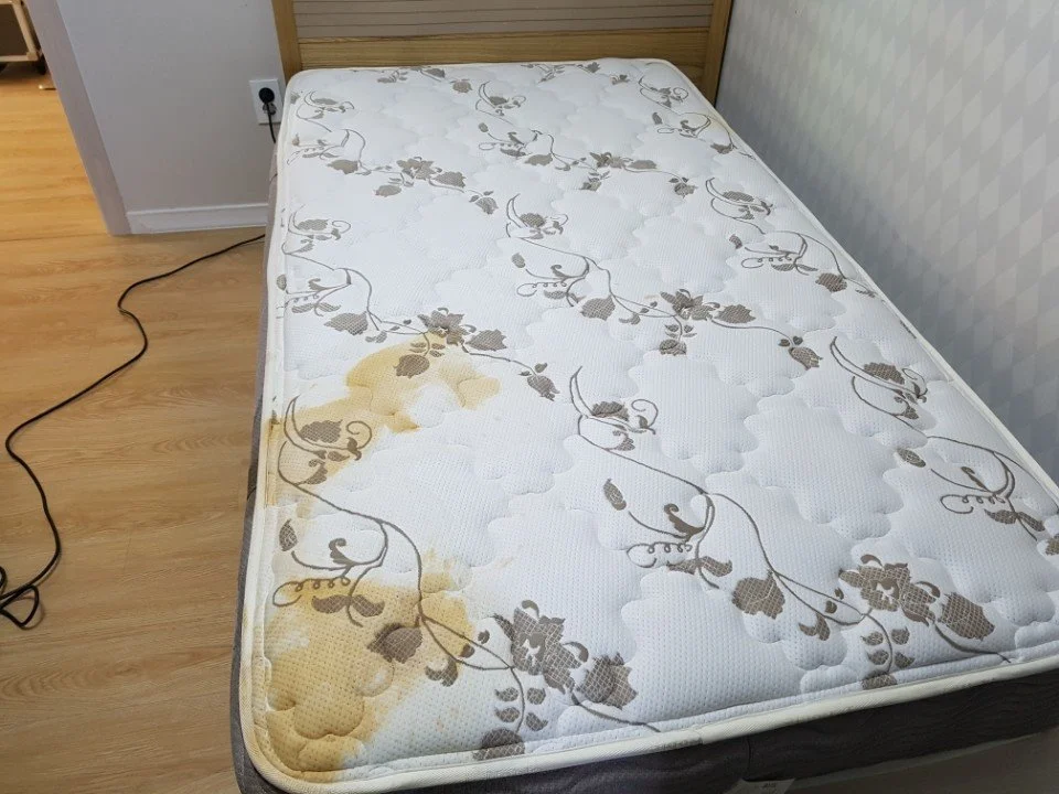 KakaoTalk_20180419_113009395.jpg?type=w1200