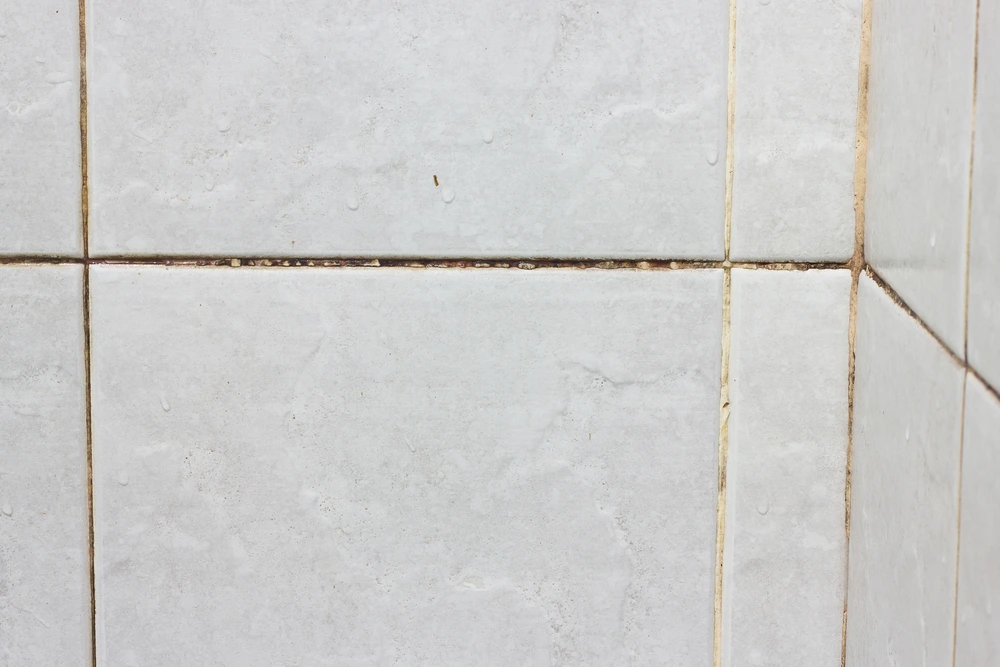 %EC%88%A8%EA%B3%A0_%EA%B3%B0%ED%8C%A1%EC%9D%B4%EC%A0%9C%EA%B1%B0_%EA%B9%80%EC%9C%A4_%EA%B3%A0%EC%88%98_%ED%9B%84%EA%B8%B05.png?type=w1200