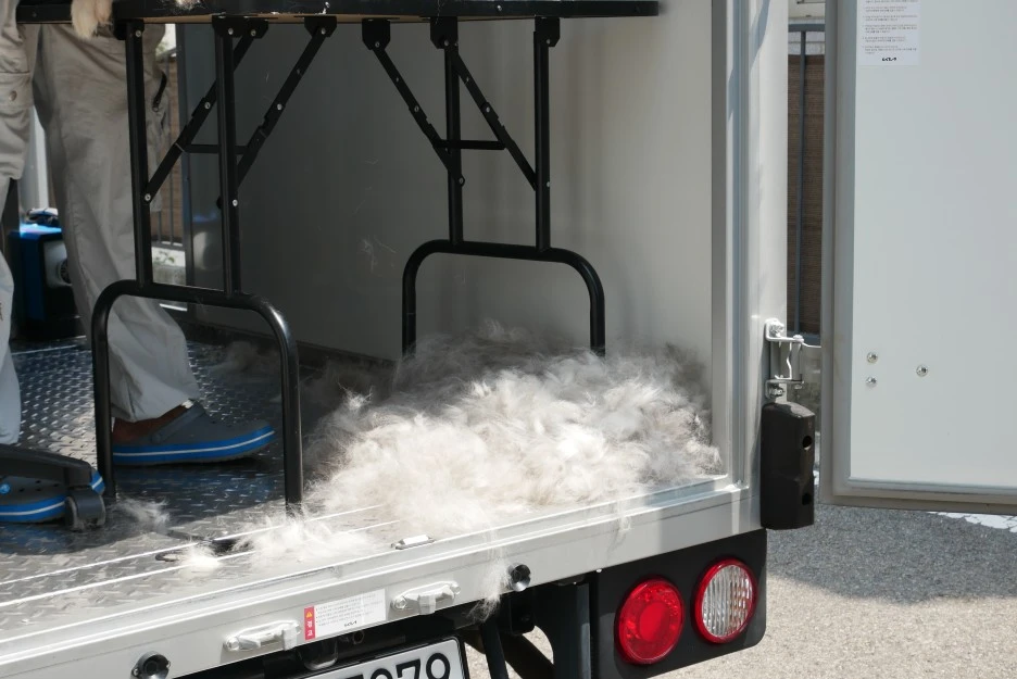 P1060530_(2).JPG?type=w1