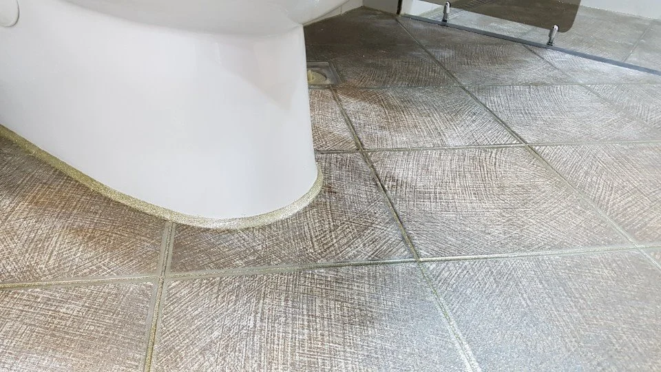 KakaoTalk_20180509_173616665.jpg?type=w1200