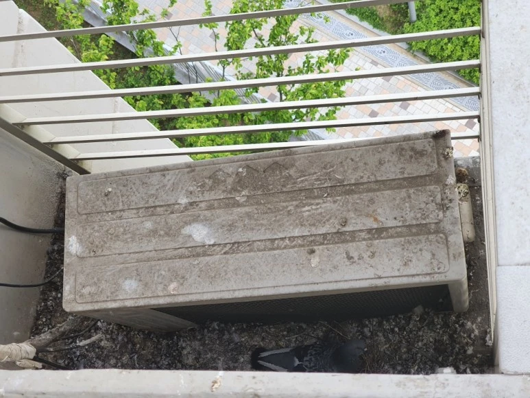 SE-c82d5728-9153-4059-91d9-4d1687ccff25.jpg?type=w773