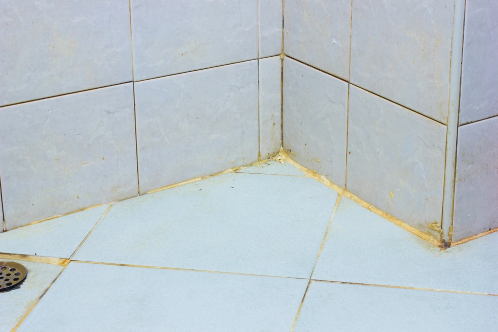 %EC%88%A8%EA%B3%A0_%EA%B3%B0%ED%8C%A1%EC%9D%B4%EC%A0%9C%EA%B1%B0_%EA%B9%80%EC%9C%A4_%EA%B3%A0%EC%88%98_%ED%9B%84%EA%B8%B02.png?type=w1200