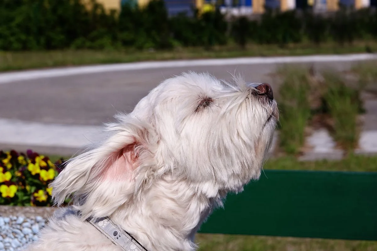 %EC%82%AC%EC%A7%842.jpg?type=w1200