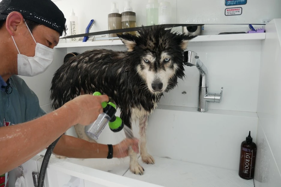 P1060541.JPG?type=w1