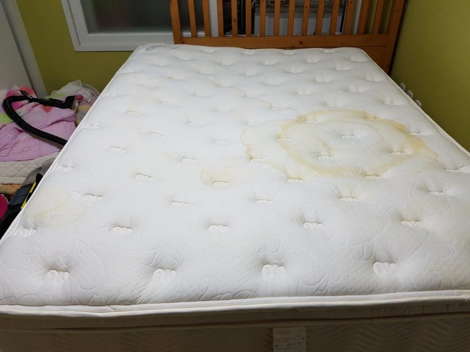 KakaoTalk_20180419_113010075.jpg?type=w1200