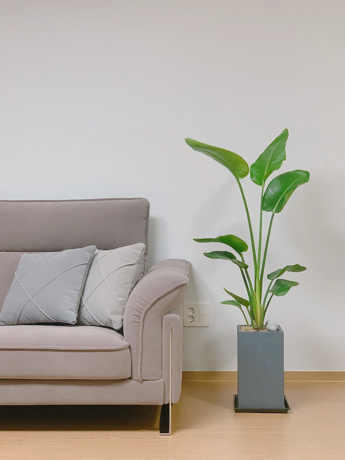 %EC%88%A8%EA%B3%A0_%EC%88%A8%EC%9D%80%EA%B3%A0%EC%88%98_33%ED%8F%89%EC%95%84%ED%8C%8C%ED%8A%B8%EC%9D%B8%ED%85%8C%EB%A6%AC%EC%96%B4_%EA%B9%80%EC%88%98%EC%A0%95_%EA%B3%A0%EC%88%984.png?type=w1200