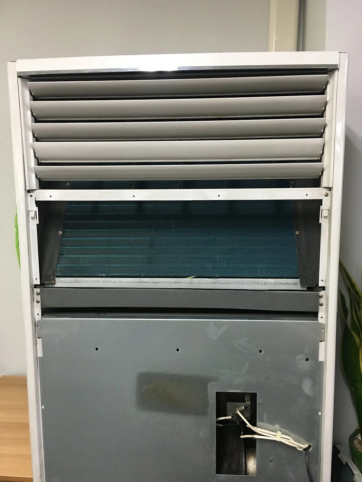 IMG_2458.JPG?type=w1200