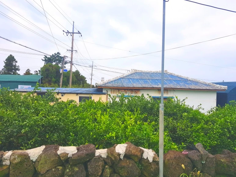 SE-eb243410-5724-4f6a-ac0a-d0037ec46f3e.jpg?type=w773