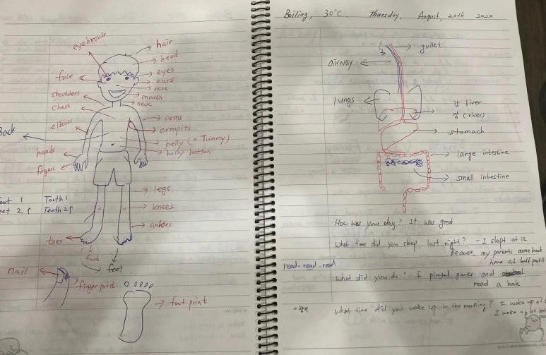 SE-ddde3da2-2d37-4392-8c15-e89001936713.jpg?type=w773