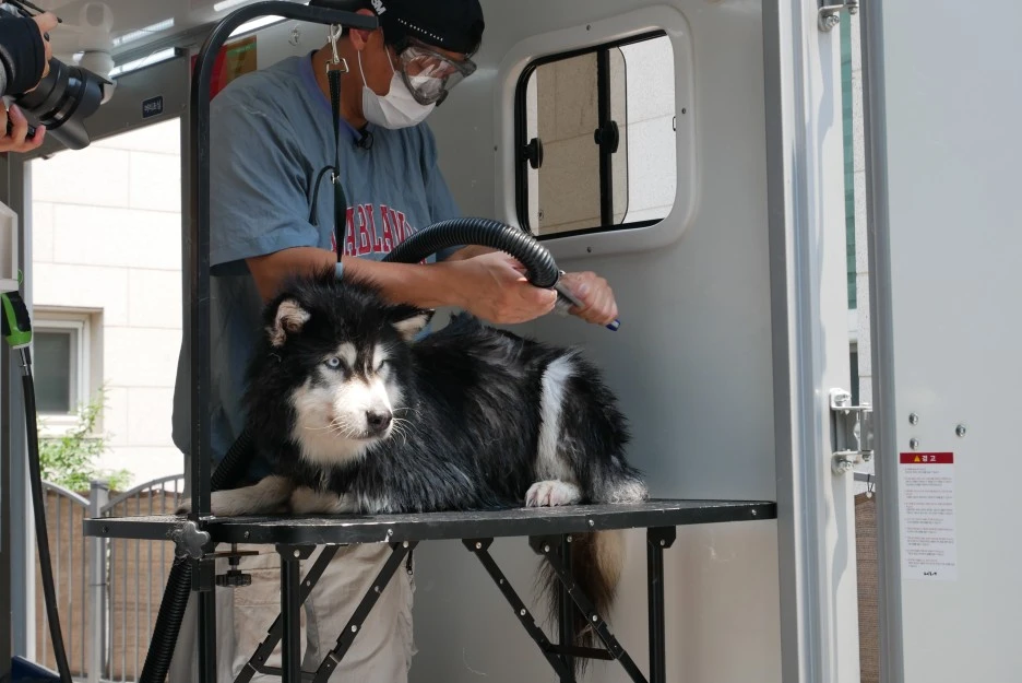 P1060548.JPG?type=w1