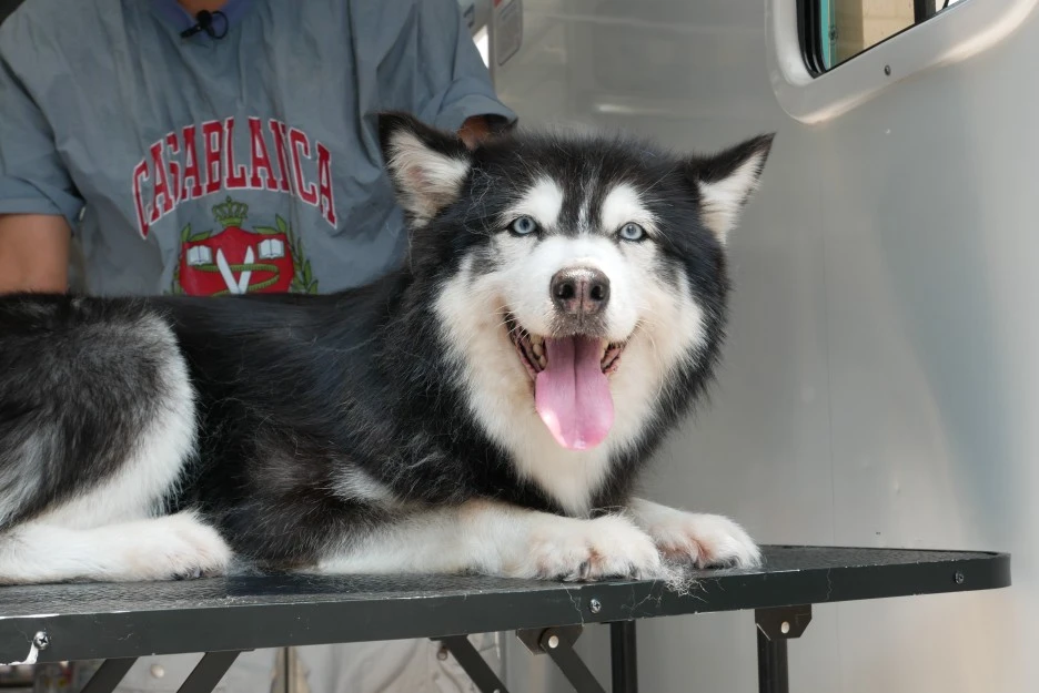 P1060555.JPG?type=w1