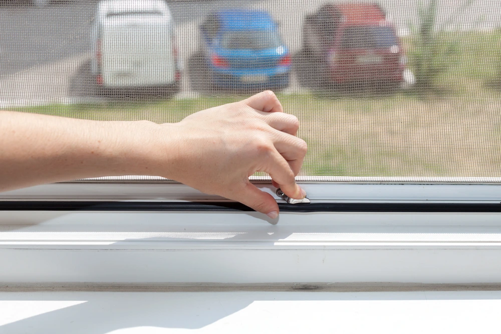 32964086_6097164184885_6232421219249946624_n.png?type=w1200