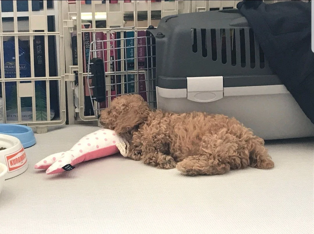 KakaoTalk_20181130_163415359.jpg?type=w1200