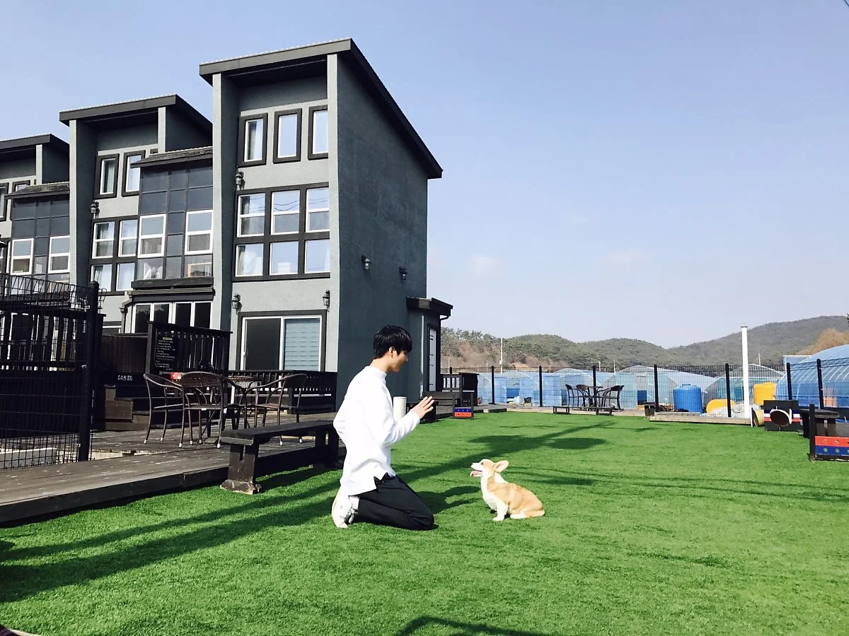 1521978654388.jpg?type=w1200