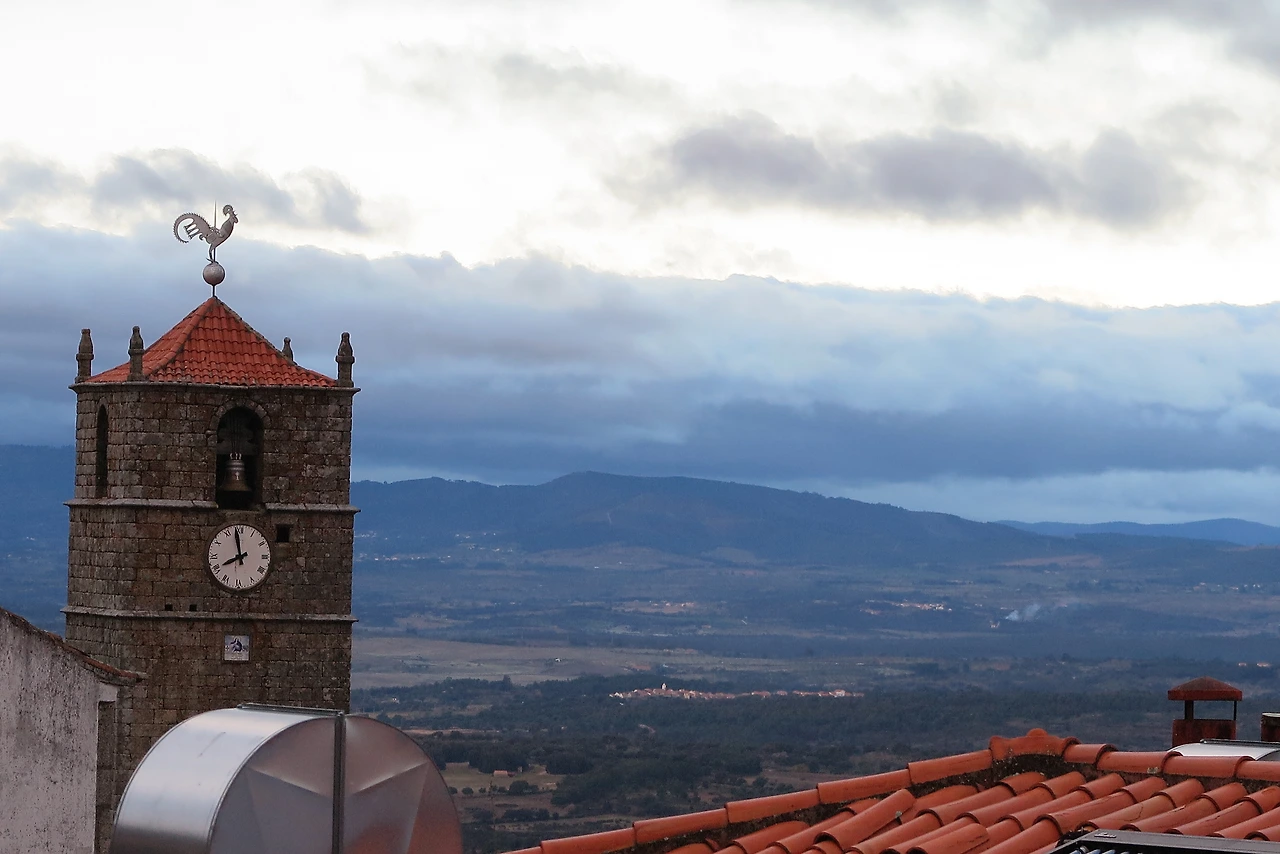 지붕위의 닭.JPG