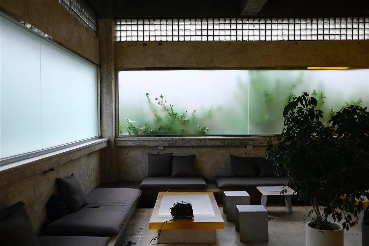 _DSF1223 (Large).JPG