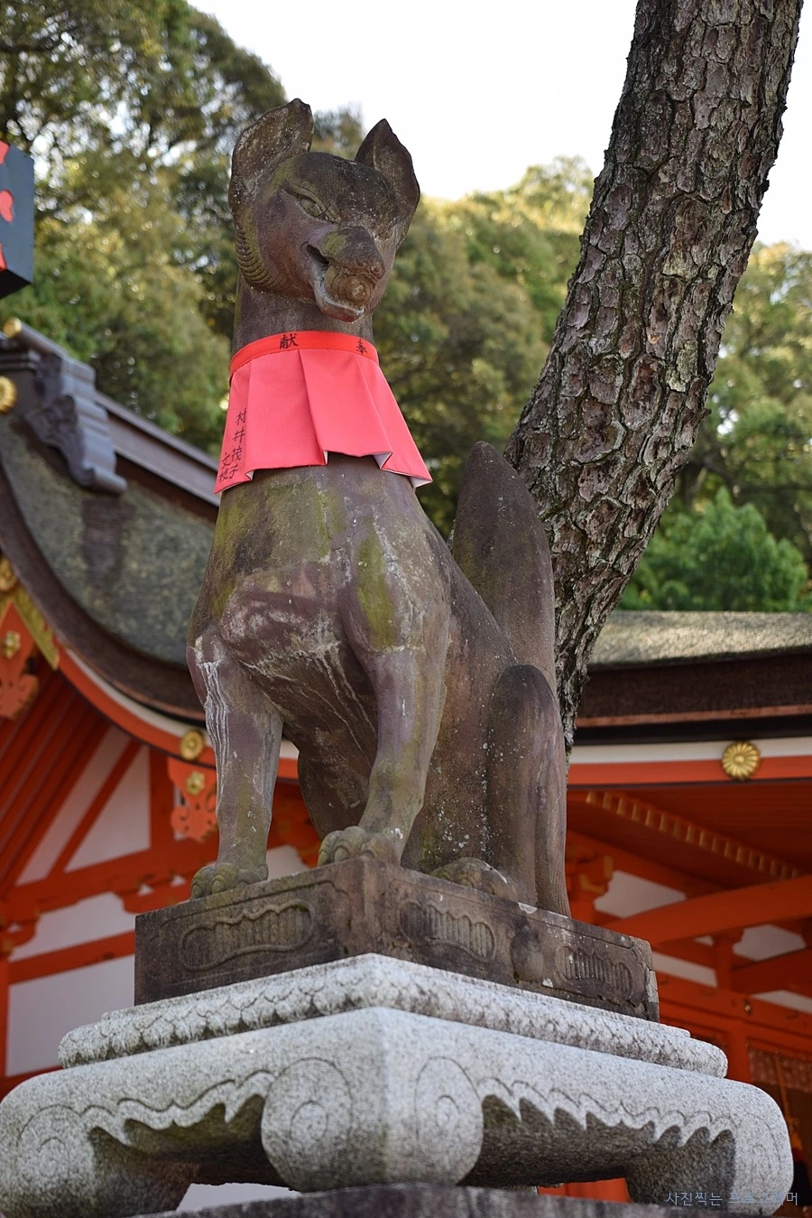 242BE147564B2B7416646F