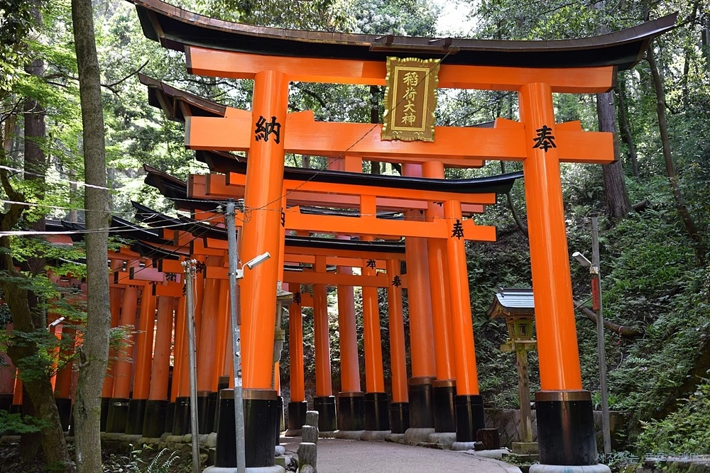 247AF249564B2BF216C922