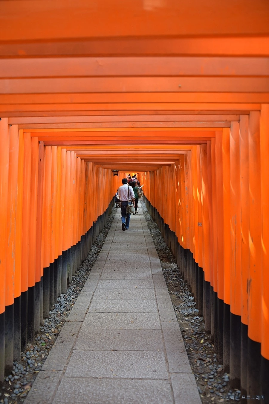 210F1550564B2B8F1B268F