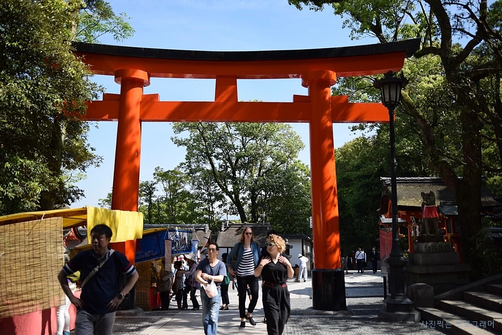 26151C50564B2B801509F5