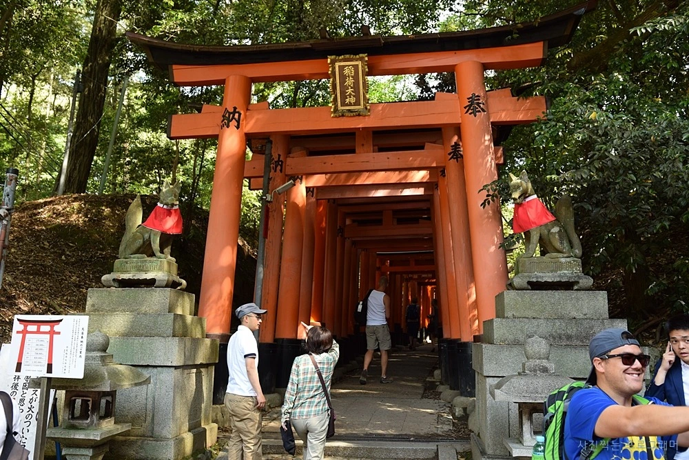 2745214F564B2B97339118