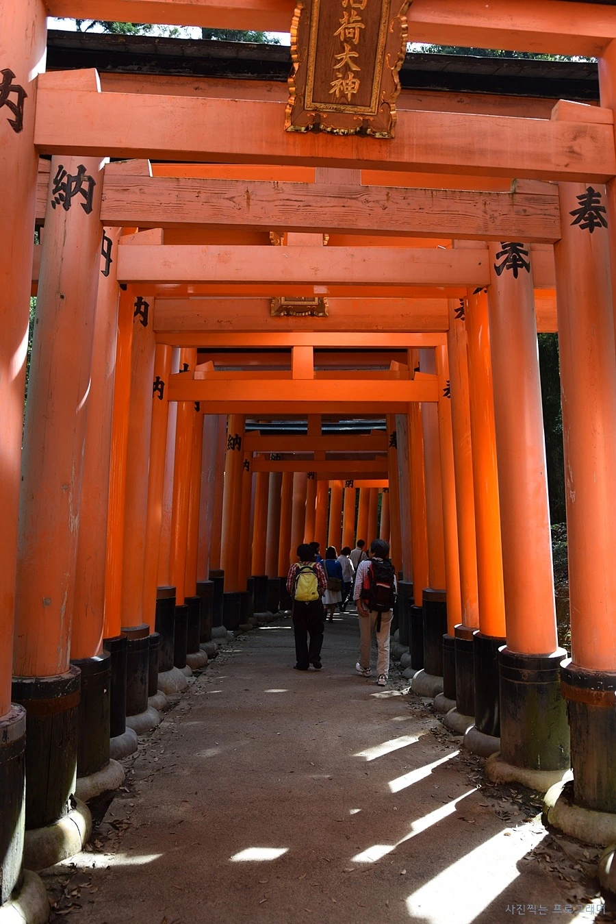 2464E94F564B2BA711606B