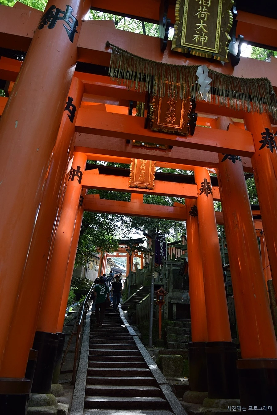 247C5050564B2C122FD98A