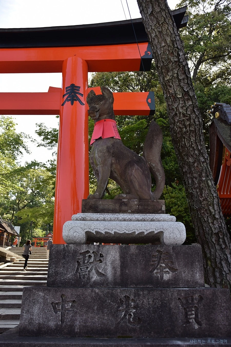 2321CF47564B2B762086E8