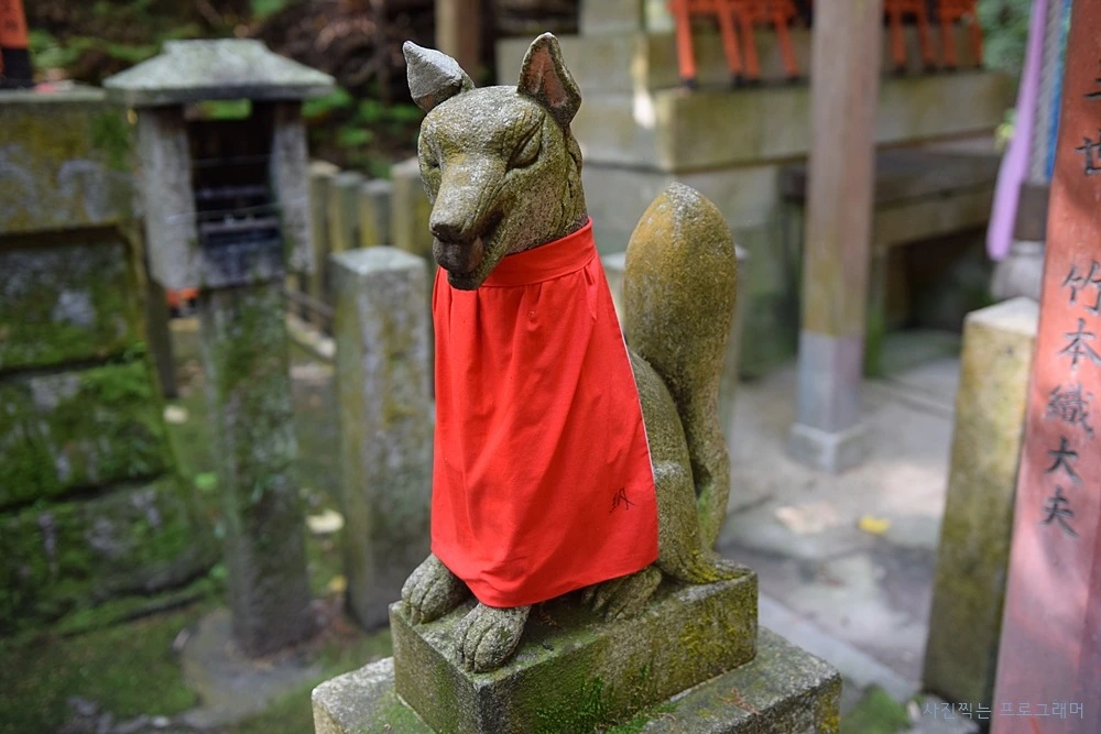 23032C49564B2BF9184856