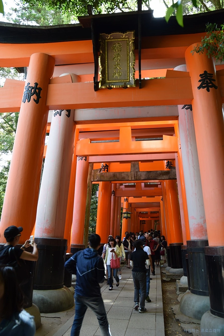 2745BA4F564B2C1F35E0AA