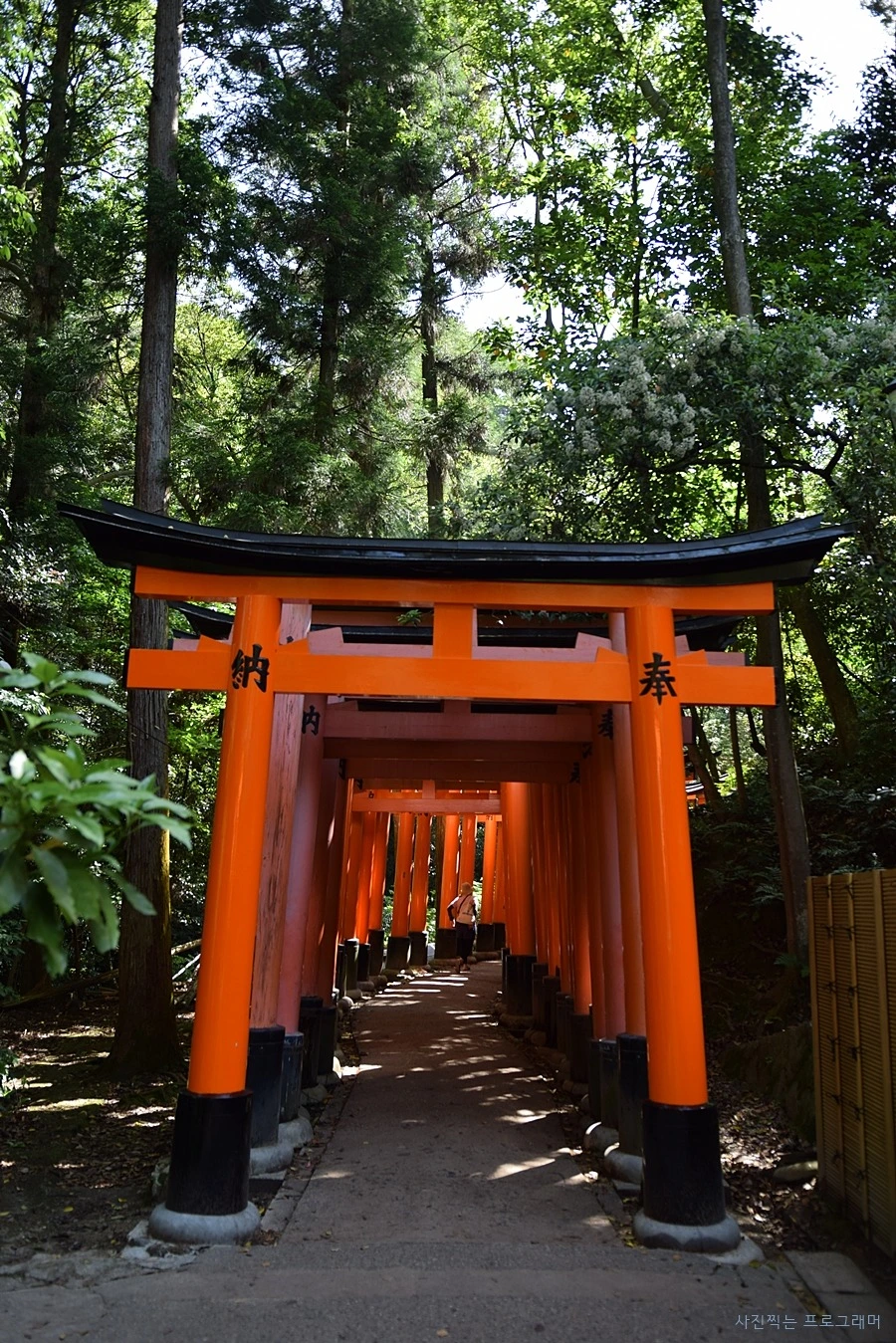 24657449564B2BF133661B