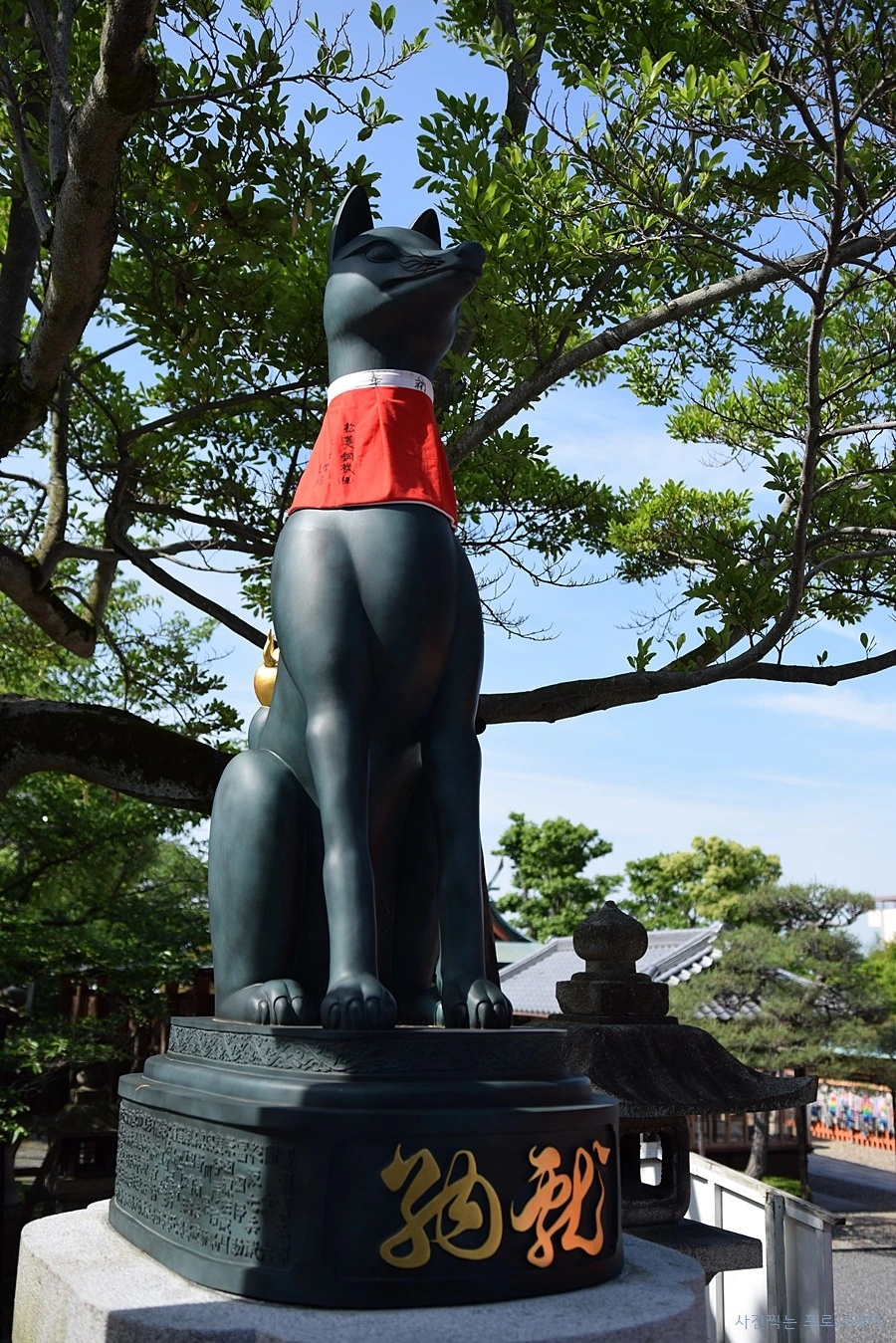 27251950564B2B5F048158