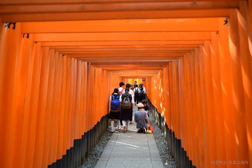 224F8A4F564B2B912819A4