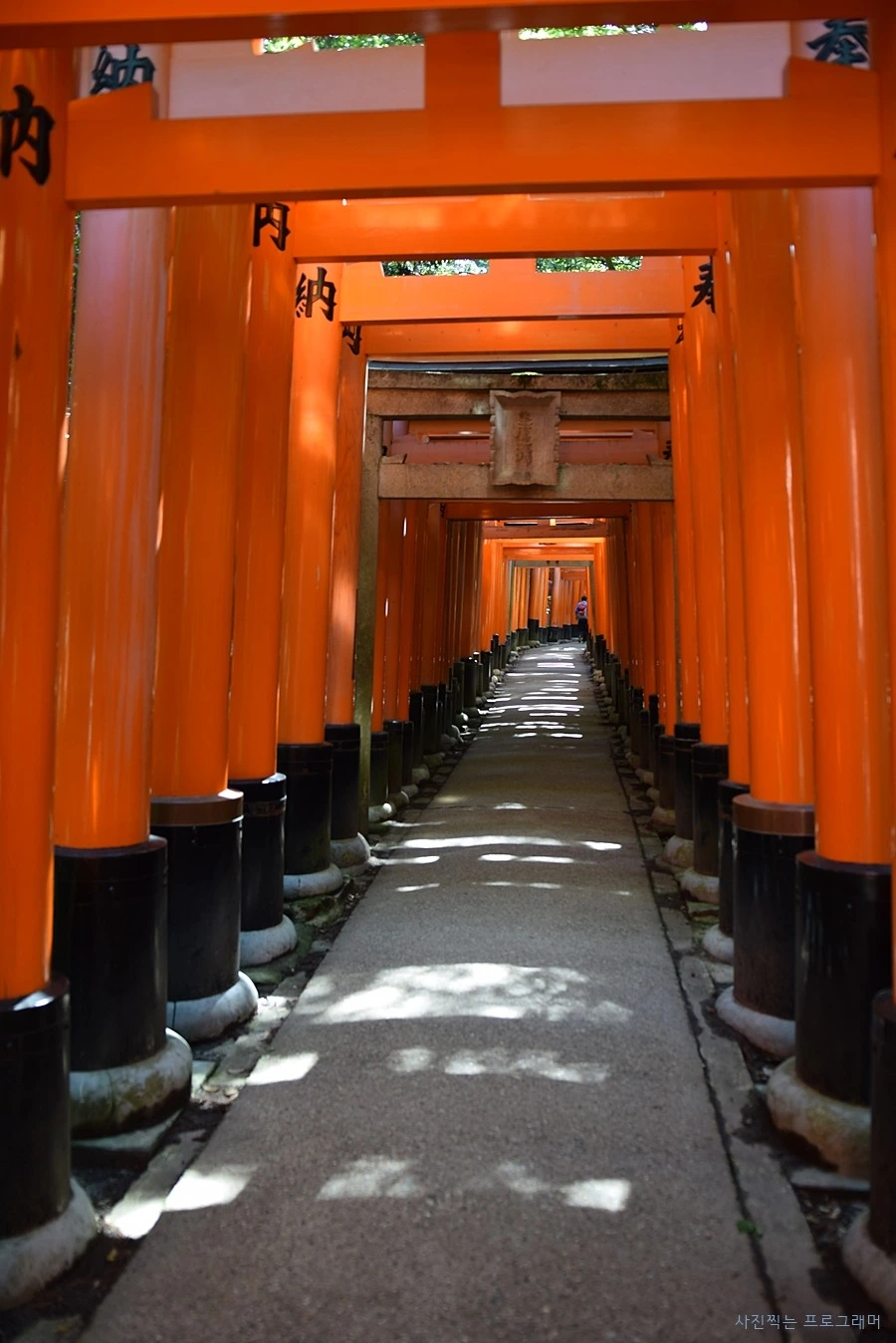 210DF549564B2BF80D0AFA