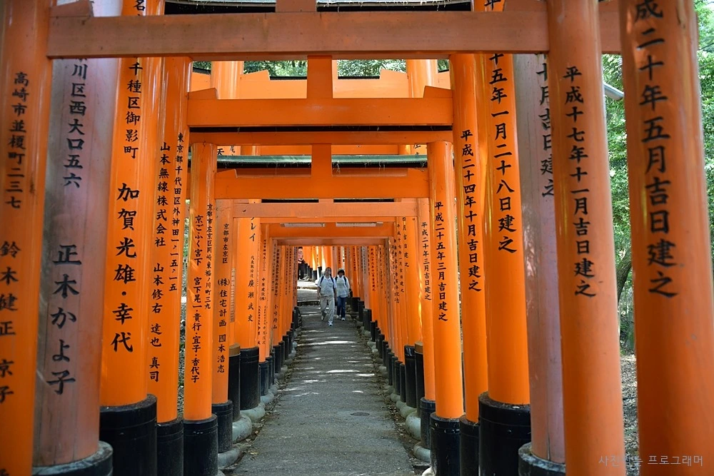 245C6C4F564B2BA419E490