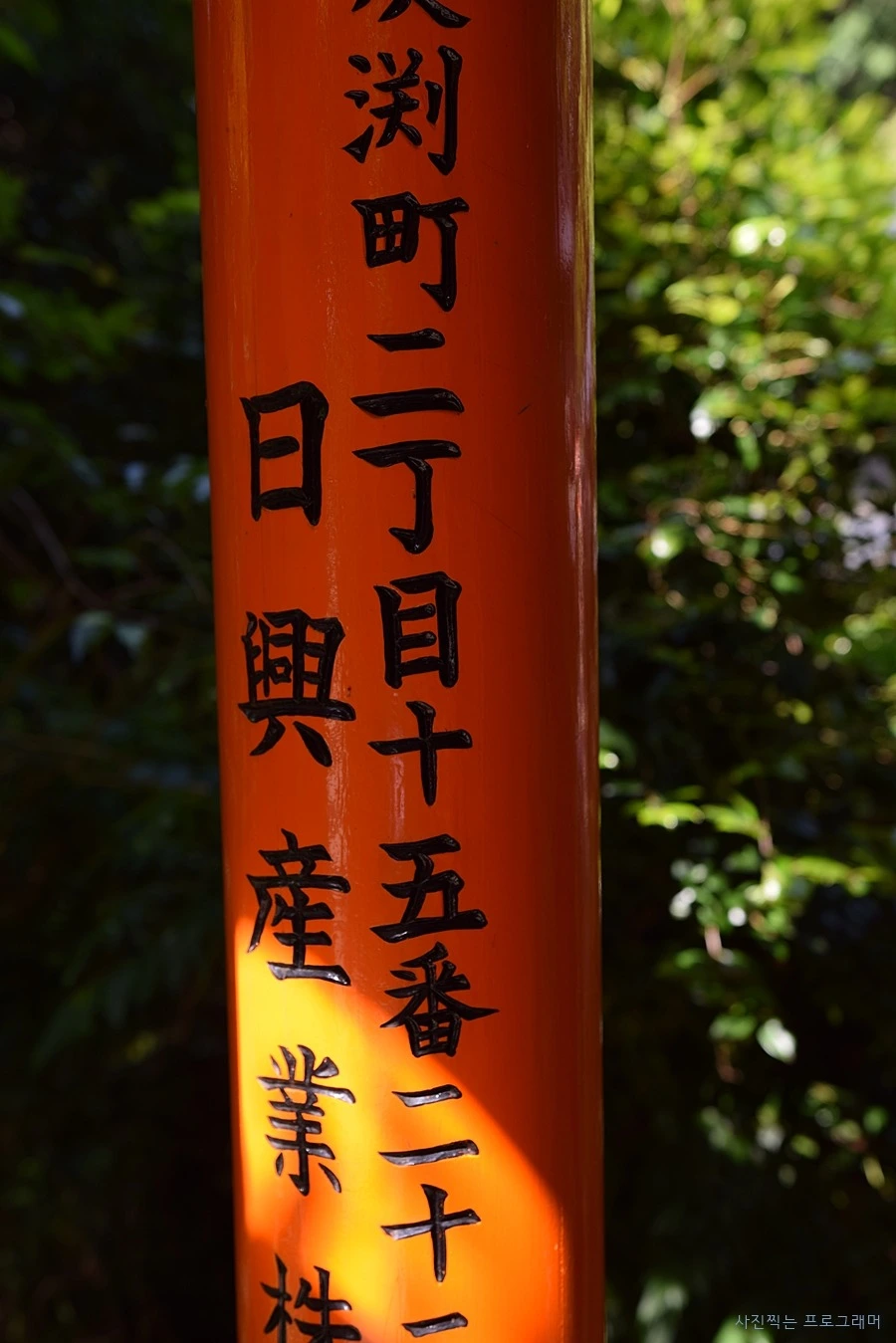 23124C50564B2C1018068D