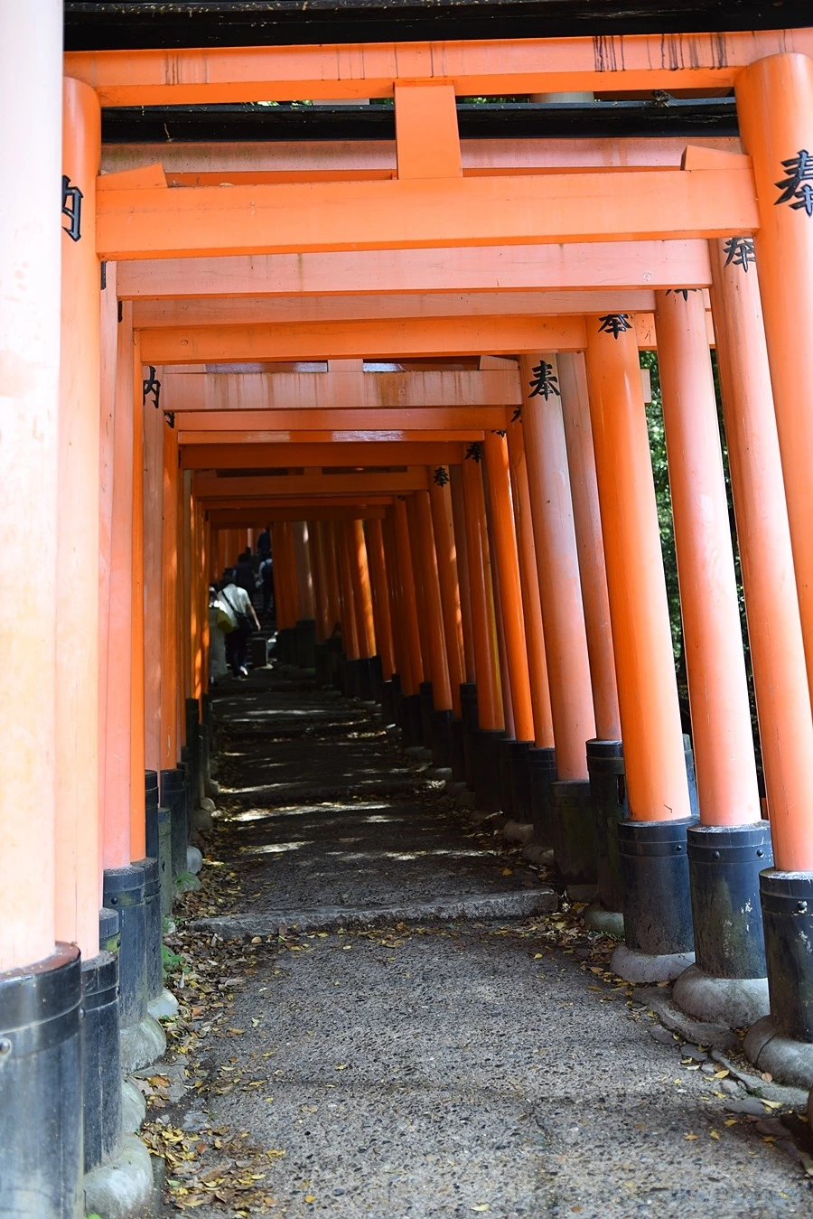 2378EC4A564B2C040ACC12