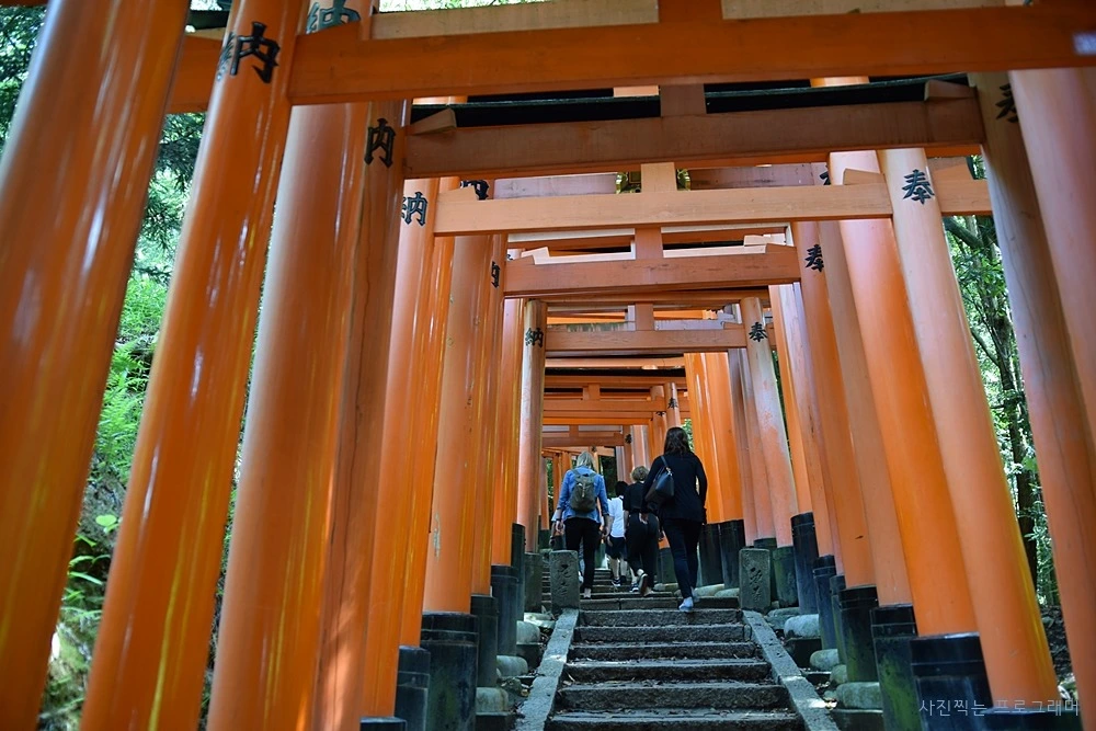 2451914A564B2C08313D0E