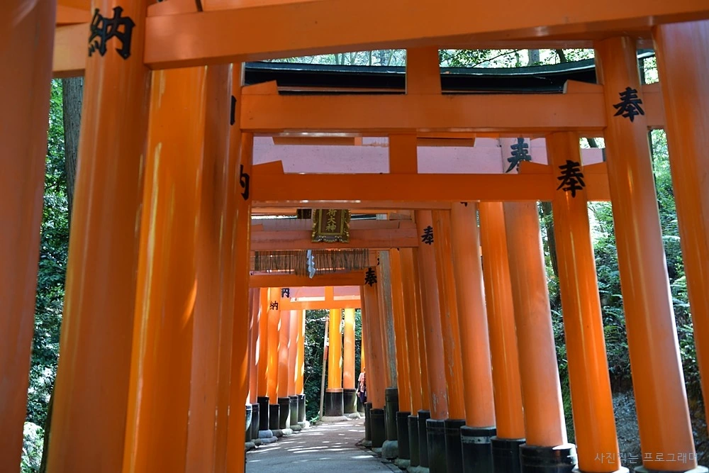 215E7F49564B2BF63BBE7E