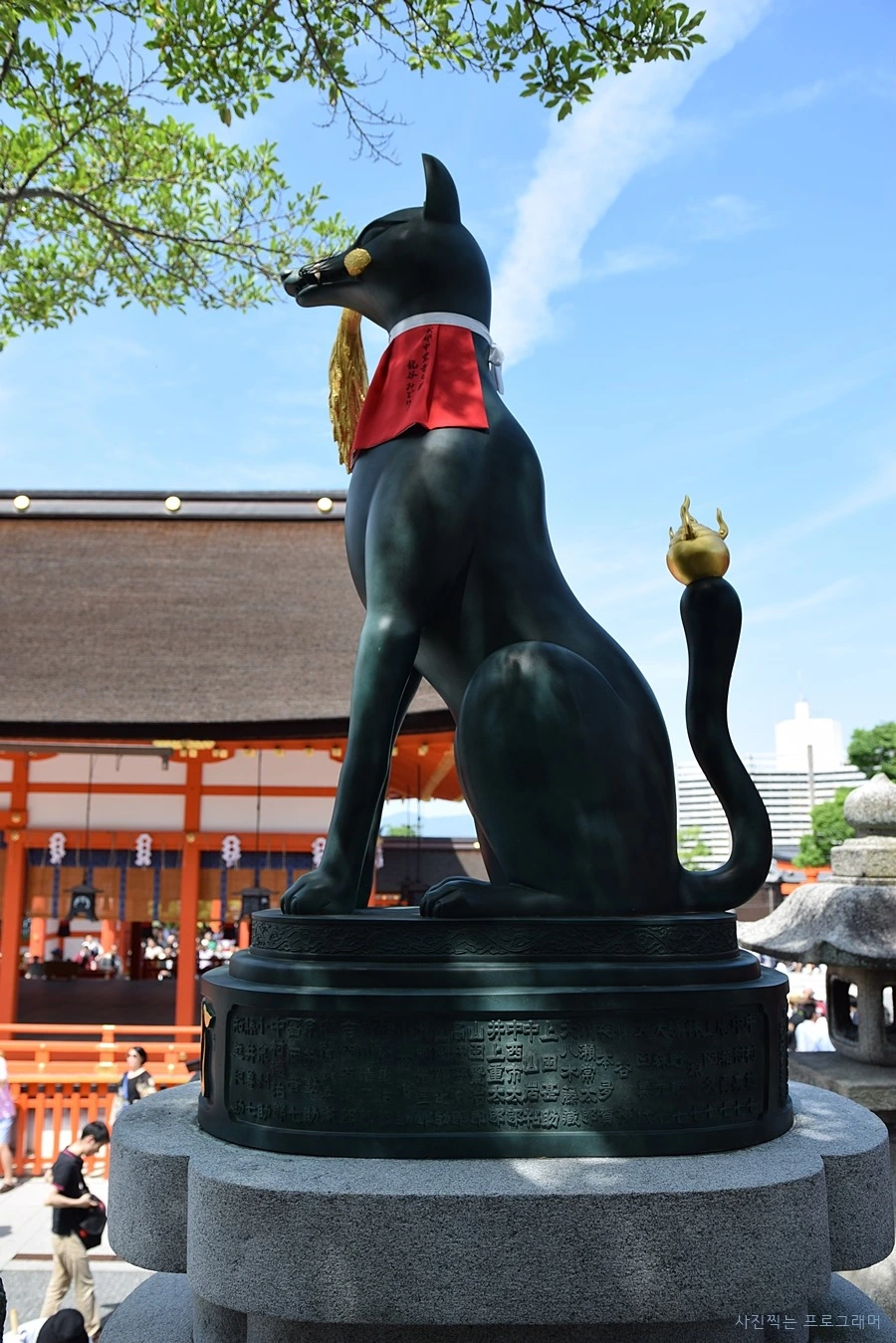 275BD84F564B2C221CB4DB