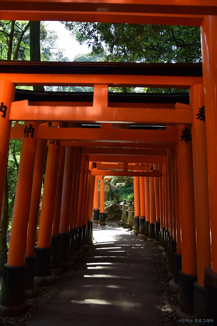 2152634F564B2BA925FBD1