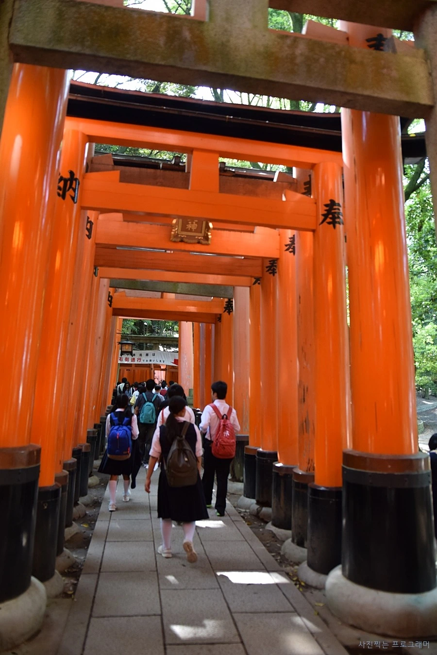 24766F50564B2B8D31A7B4