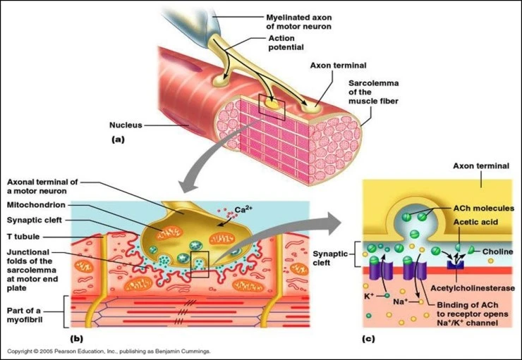 Picture15.jpg?type=w2