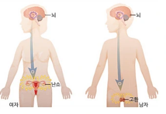 %BC%BA%C1%B6%BC%F7%C1%F5.png?type=w2