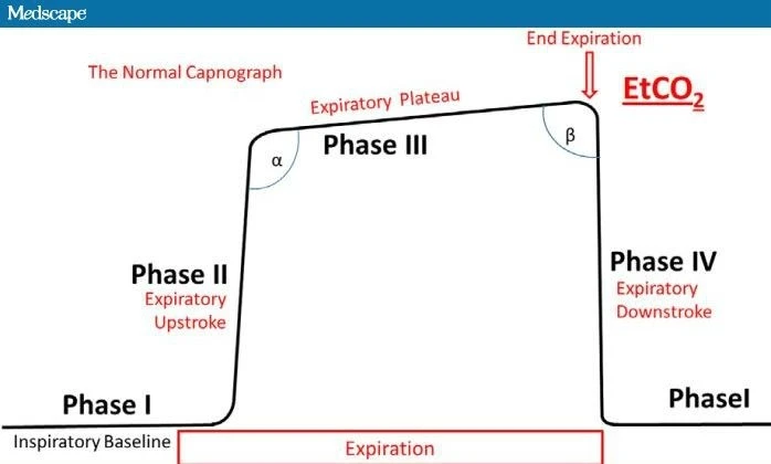 812011-fig1.jpg?type=w2