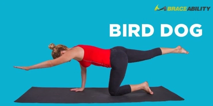 bird-dog-yoga-pose.jpg?type=w2