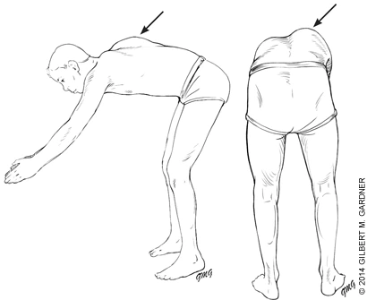 afp20140201p193-f1.gif?type=w2